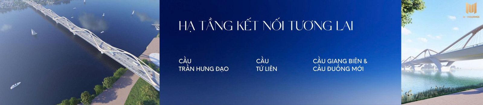 D'. Diamant Bleu & Tiềm năng đầu tư tại Long Biên