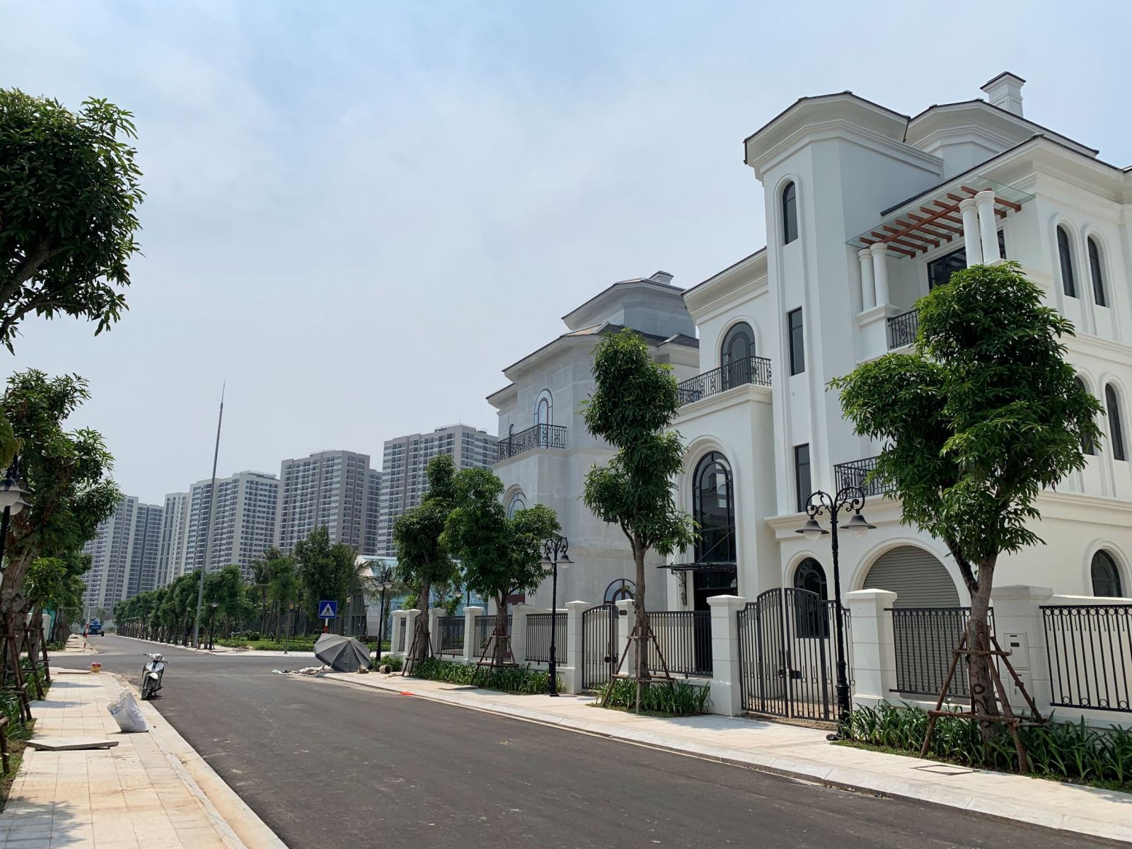 chuyển nhượng đơn lập ngọc trai đảo lớn