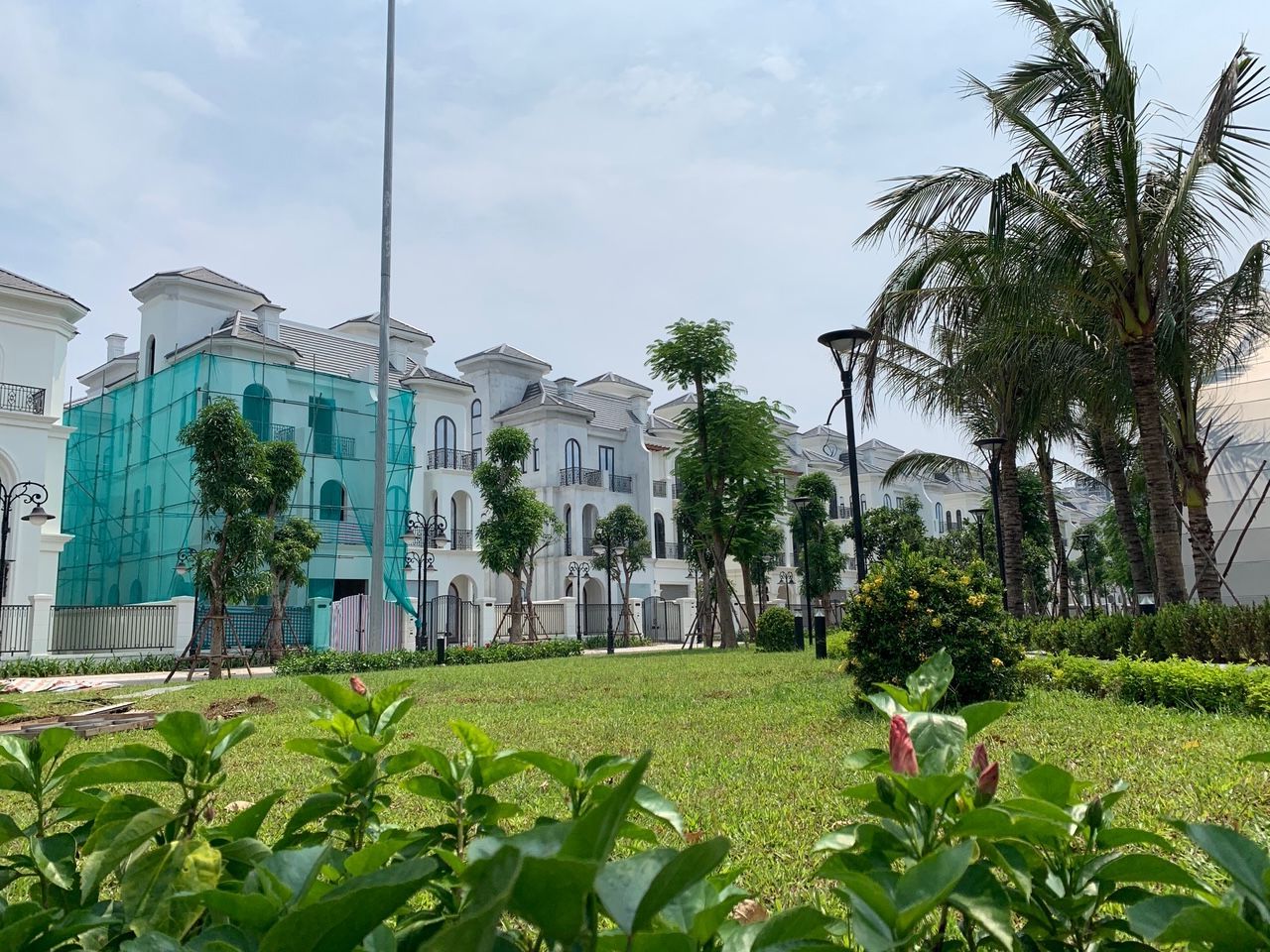 chuyển nhượng song lập vườn hoa ngọc trai đảo lớn