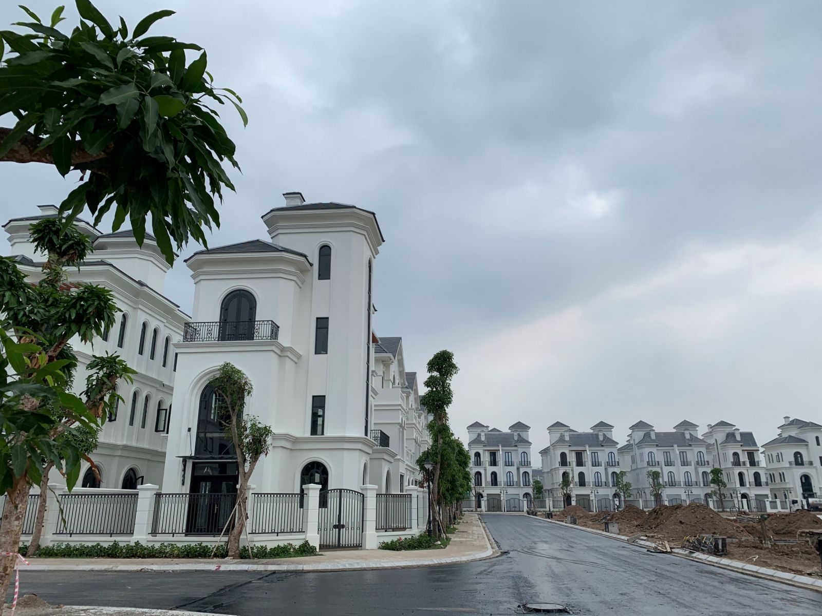Ngọc Trai 19 -17