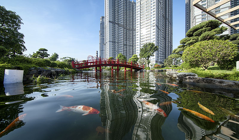 hồ cá koi Central Park