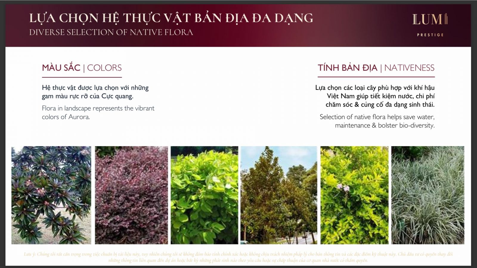 tiện ích chung cư Lumi Prestige Hà Nội